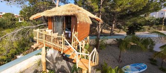 Dream Tree Suite with Jacuzzi | D PALM Premium Living