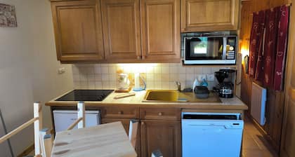 Appartement les saisies