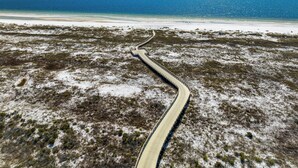 A coastal road leading to a beach with sparse vegetation and a clear view of the ocean.