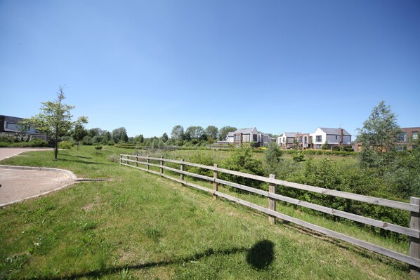 A residential area with houses, a wooden fence, and a clear sky.