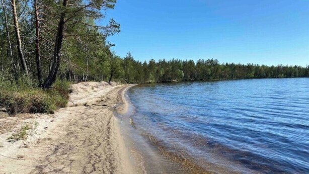 Une jetée en bois s’étendant dans un lac paisible, avec une plage de sable et une forêt dense en arrière-plan.