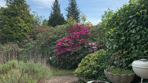 A garden with various plants and a barbecue grill.