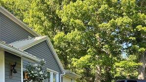 Property grounds - Charming, Unique and Peaceful 3-bedroom Farmhouse on 500 acres in Great Bend, PA (Great Bend)