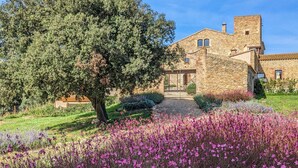 Un edificio de piedra con un gran árbol en primer plano y un jardín lleno de flores moradas.
