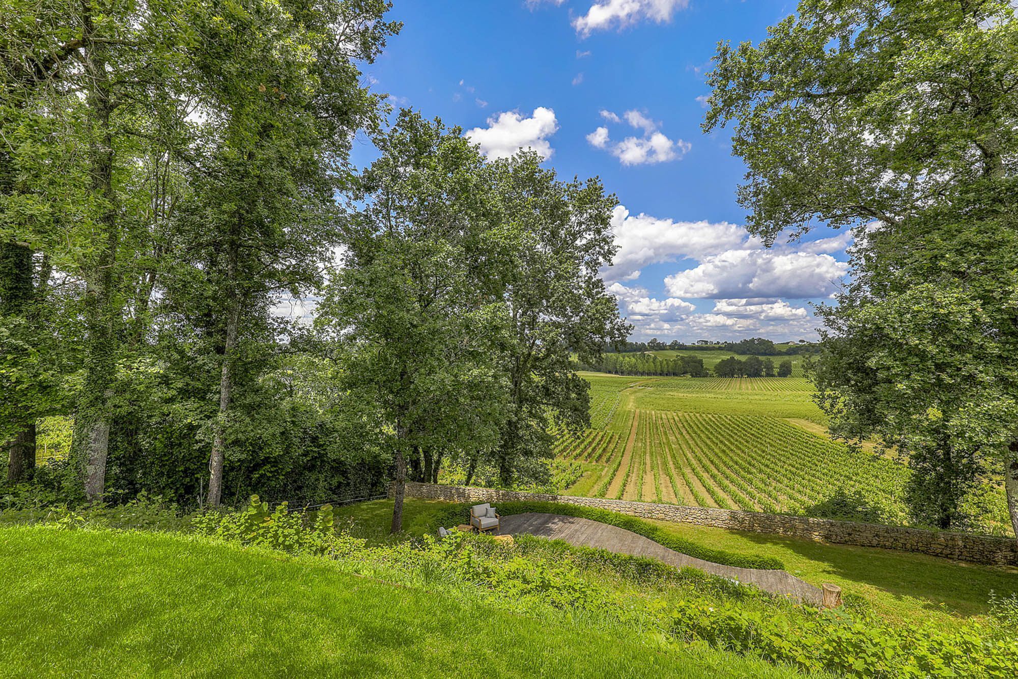 A vineyard with rows of grapevines, surrounded by trees and a stone wall.