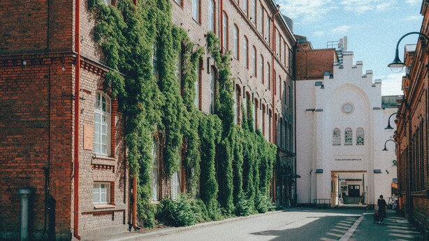 Eine Straße mit einer Reihe von Gebäuden, eines davon mit Efeu bewachsen und das andere mit heller Fassade und Rundbogenfenstern.