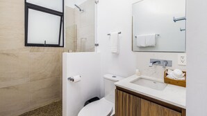 A modern bathroom with a shower, toilet, sink, and a mirror. - DANNY HOUSE 2 (Puerto Vallarta)