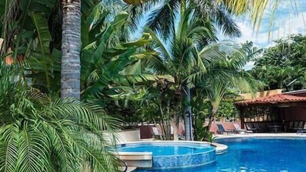 A swimming pool surrounded by lush tropical vegetation. - Peninsula 8 𖢻3bd little peace of paradise𖢻5min walk Beach (Playa Langosta)