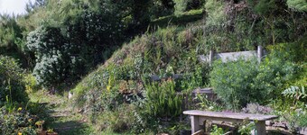 THATCHWAYS - Stunning traditional cottage overlooking the beach