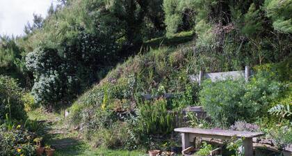 THATCHWAYS - Stunning traditional cottage overlooking the beach