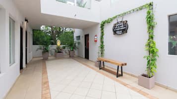 Vista desde la habitación