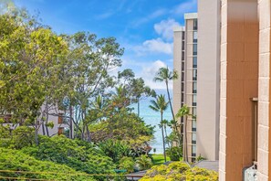 Property grounds - Amazing Stay - 2 Bed Maui Condo! (Lahaina)