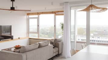 TV, computer monitors