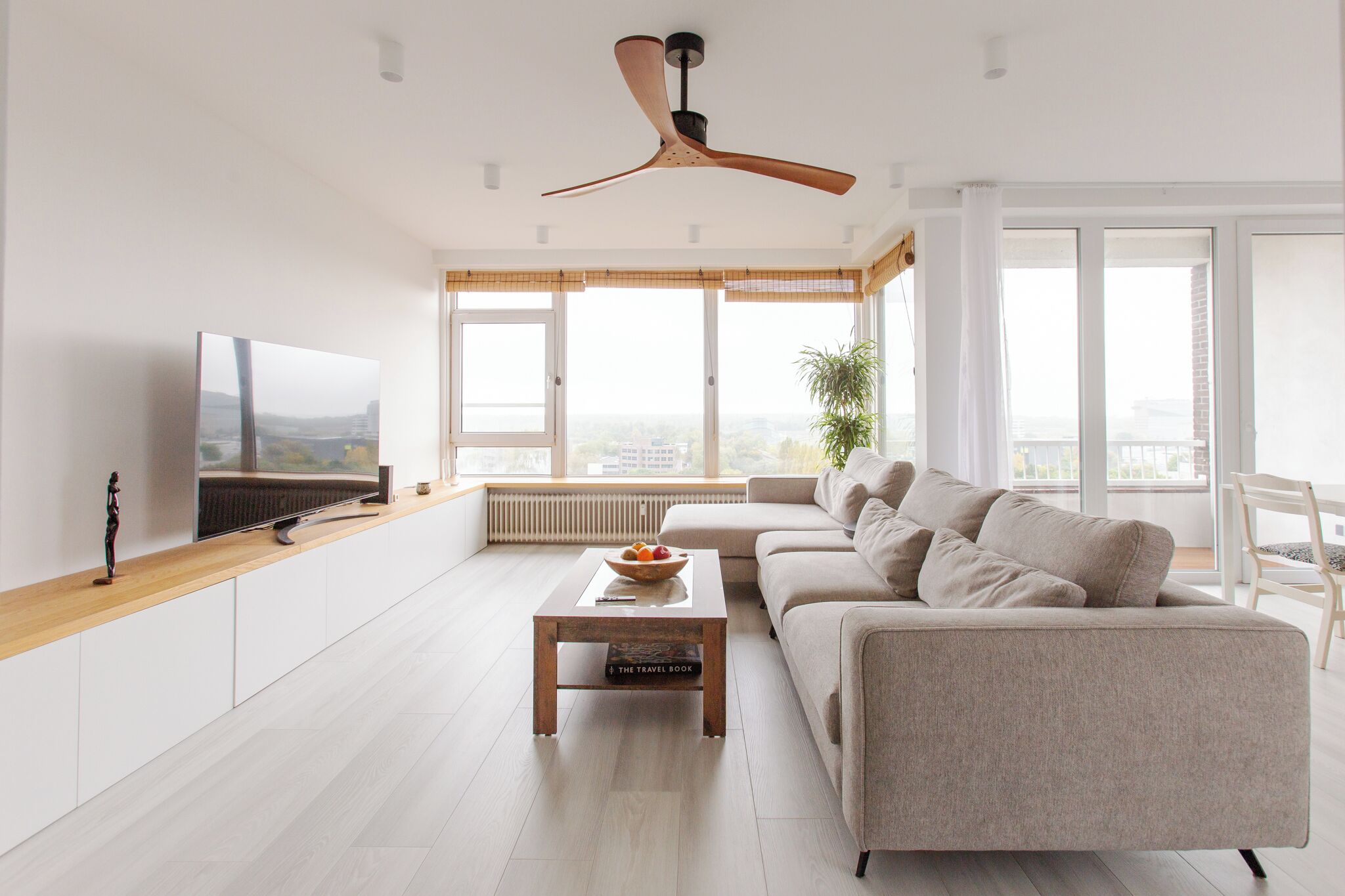 TV, computer monitors