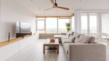 TV, computer monitors