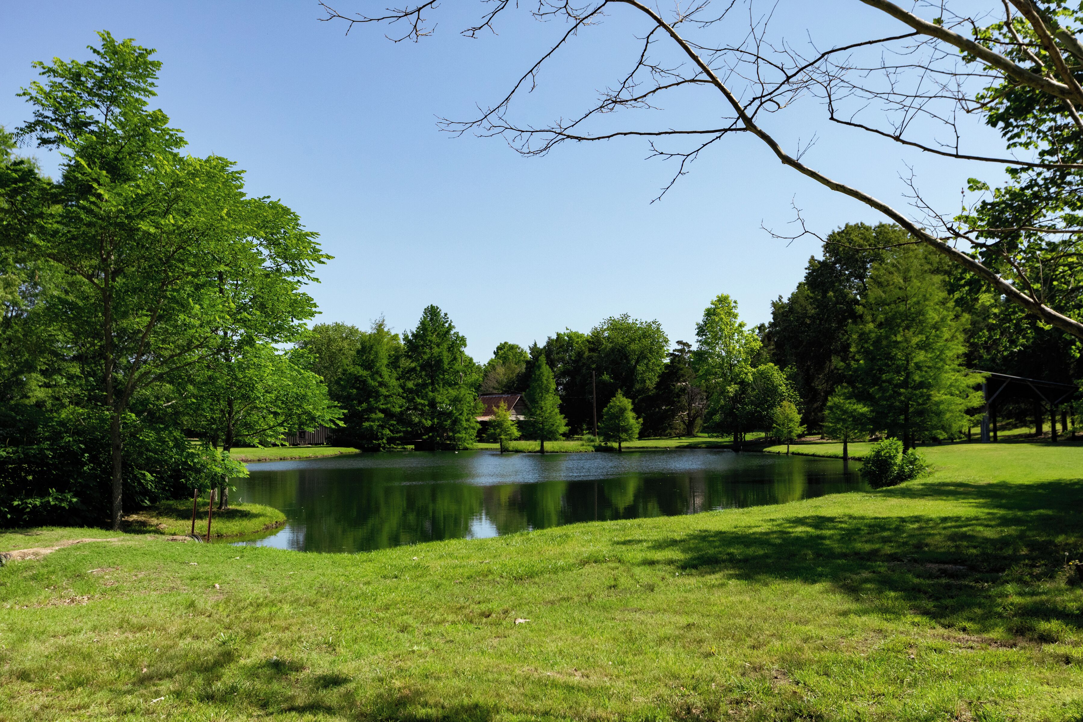 Un parc tranquil al costat d'un llac, ple de vegetació exuberant i aigües serenes que reflecteixen els arbres.