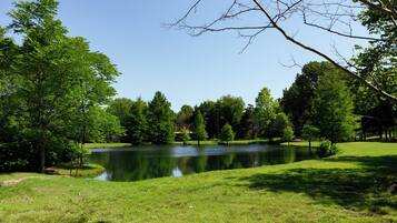 Un parc tranquil al costat d'un llac, ple de vegetació exuberant i aigües serenes que reflecteixen els arbres.