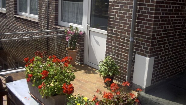 Ein Balkon mit roten Blumen, einem Blumentopf und einer Ziegelwand.