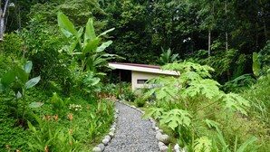 Un sendero en un jardín que lleva a un edificio con techo rojo, rodeado de abundante vegetación y diversas plantas.
