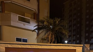 外部細節
