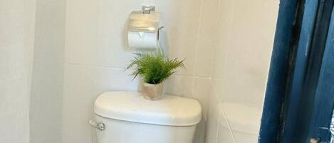 Douche, serviettes fournies, savon, papier toilette