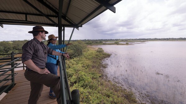 A wooden observation deck overlooking a large body of water with a forested landscape in the background. - Tocu Tent Camp (Caño Negro)