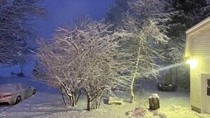 Un barrio residencial cubierto de nieve, con una casa, árboles sin hojas y un coche aparcado en la entrada.