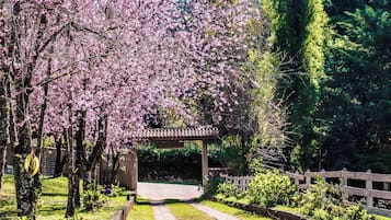 Fachada da propriedade