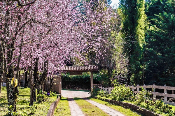 Fachada da propriedade