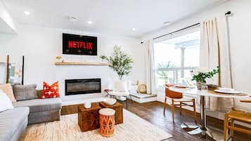 Smart TV, fireplace, books