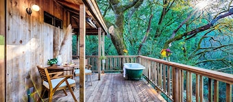 Stunning Sauna Cottage Retreat on Private Vineyard
