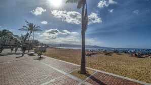 Ein Strand mit Palmen, strahlend blauem Himmel und Sonnenschein.