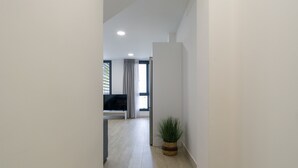 Un pasillo con suelo de madera, una planta en maceta y un televisor al fondo.