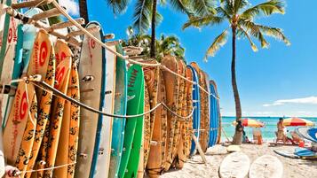 Une rangée de planches de surf est alignée sur le sable, avec en arrière-plan des palmiers et un ciel dégagé.