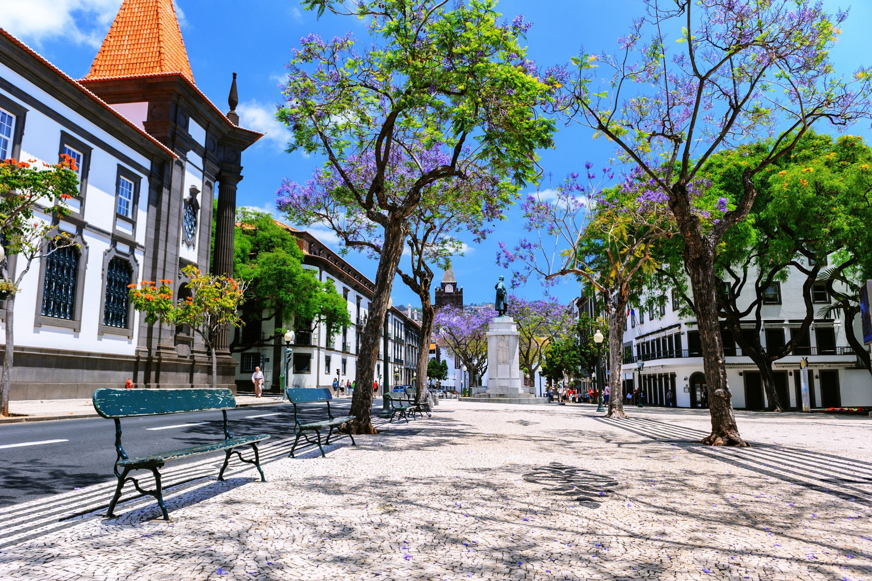 A cobblestone street lined with benches and trees, a statue in the center, and historic buildings with white facades and red roofs.