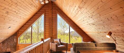 Smart TV, fireplace, books