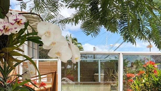 Een tuin met een witte metalen bank, diverse planten en een glazen deur naar een zwembadgedeelte.
