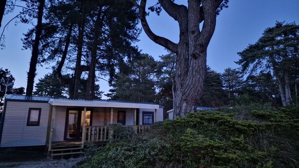 Una cabaña con terraza de madera, rodeada de un bosque denso y altos árboles.