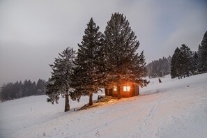 Ulkopuoli