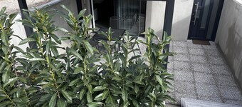 Two Bedroom Apartment Angelina with Krvavec view