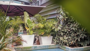 A pool area with tiled steps leading into the water, surrounded by various potted plants and a pergola structure.