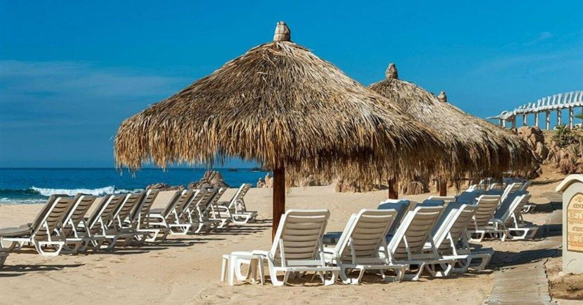 A beach with rows of sun loungers and thatched umbrellas.
