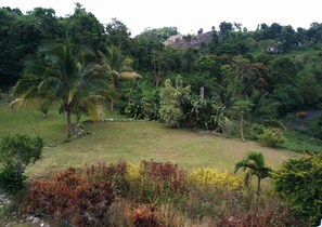 Deluxe Room, Courtyard View | Courtyard view