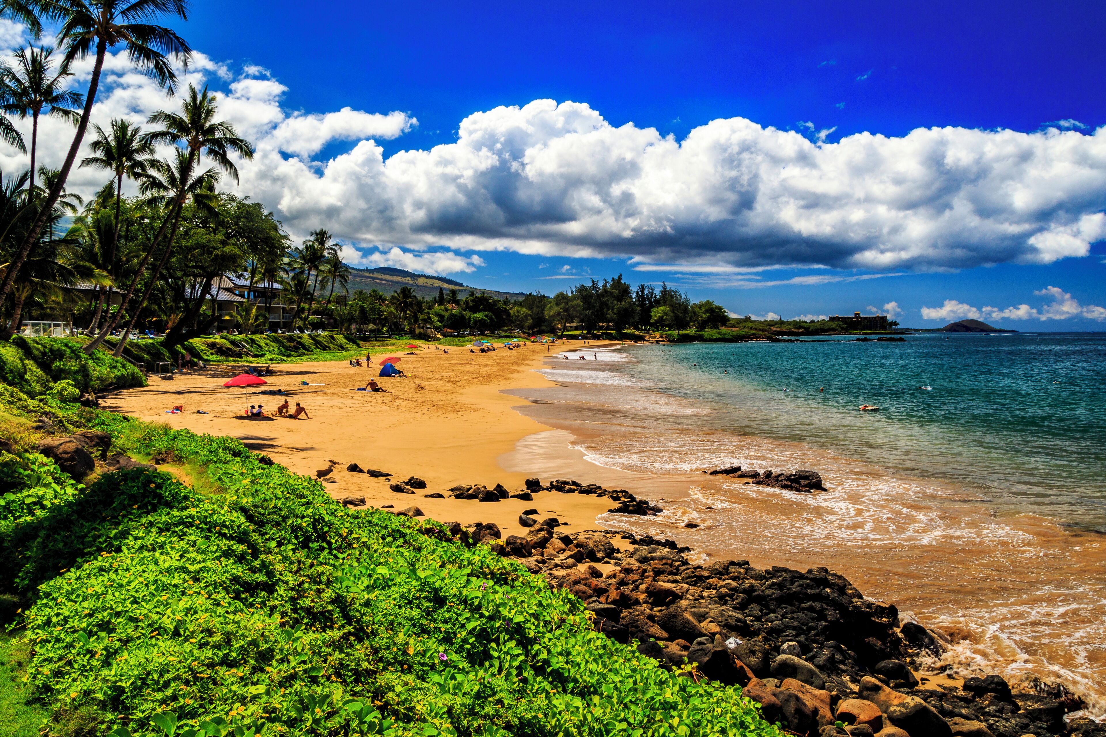 A beach with palm trees, a sandy shore, and a clear blue sky.