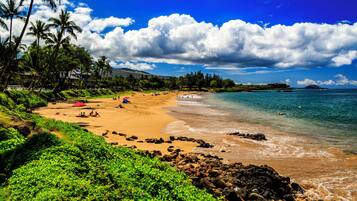 A beach with palm trees, a sandy shore, and a clear blue sky.