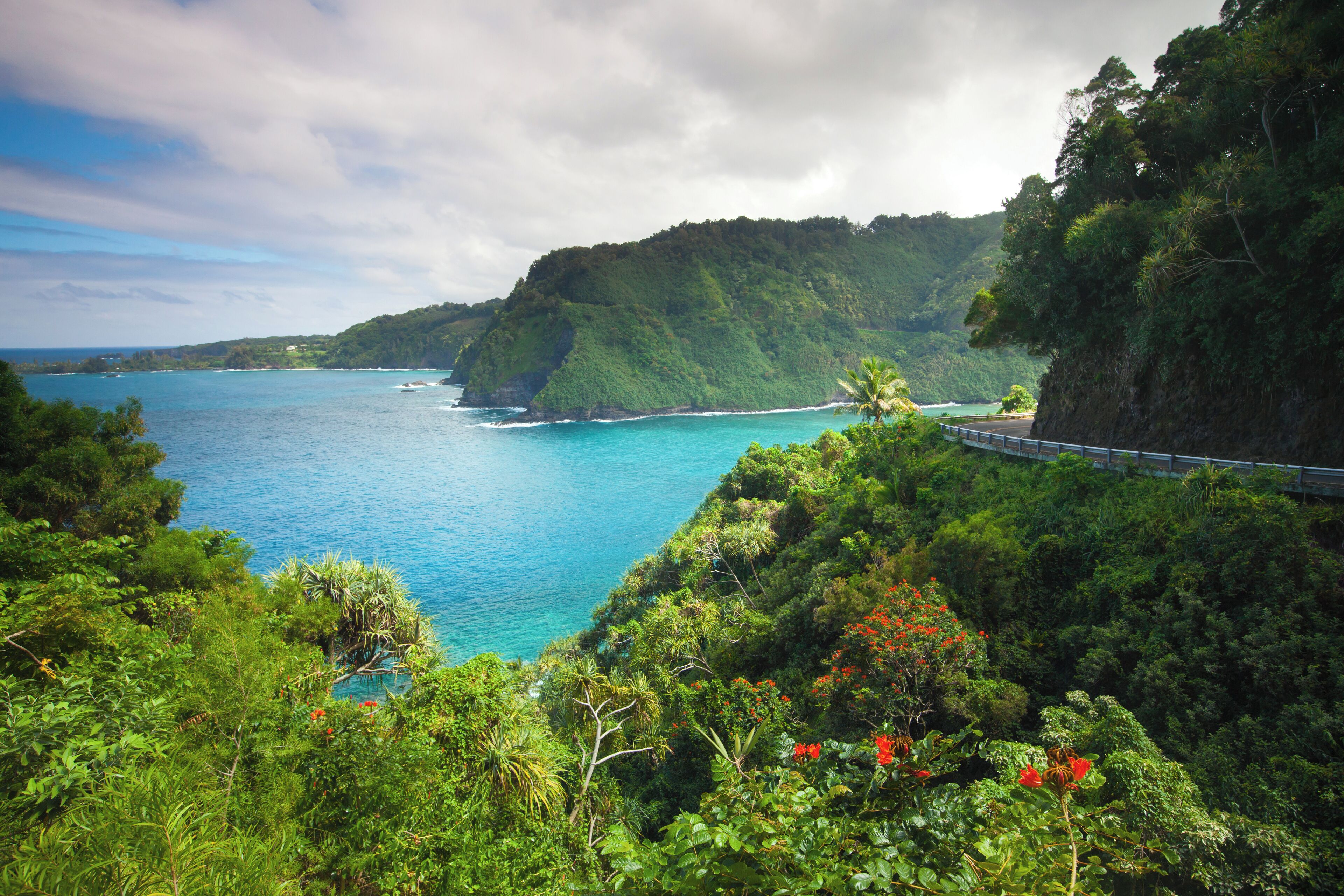 A coastal landscape with lush greenery, a clear blue sea, and a road curving along the cliffs.