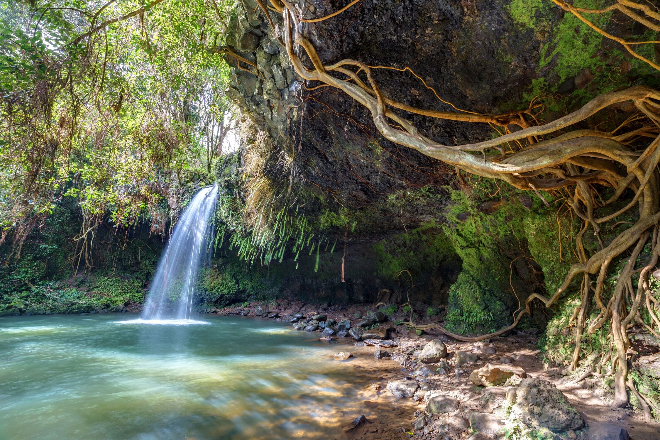 Ein natürlicher Wasserfall, umgeben von Felsen und viel Grün.
