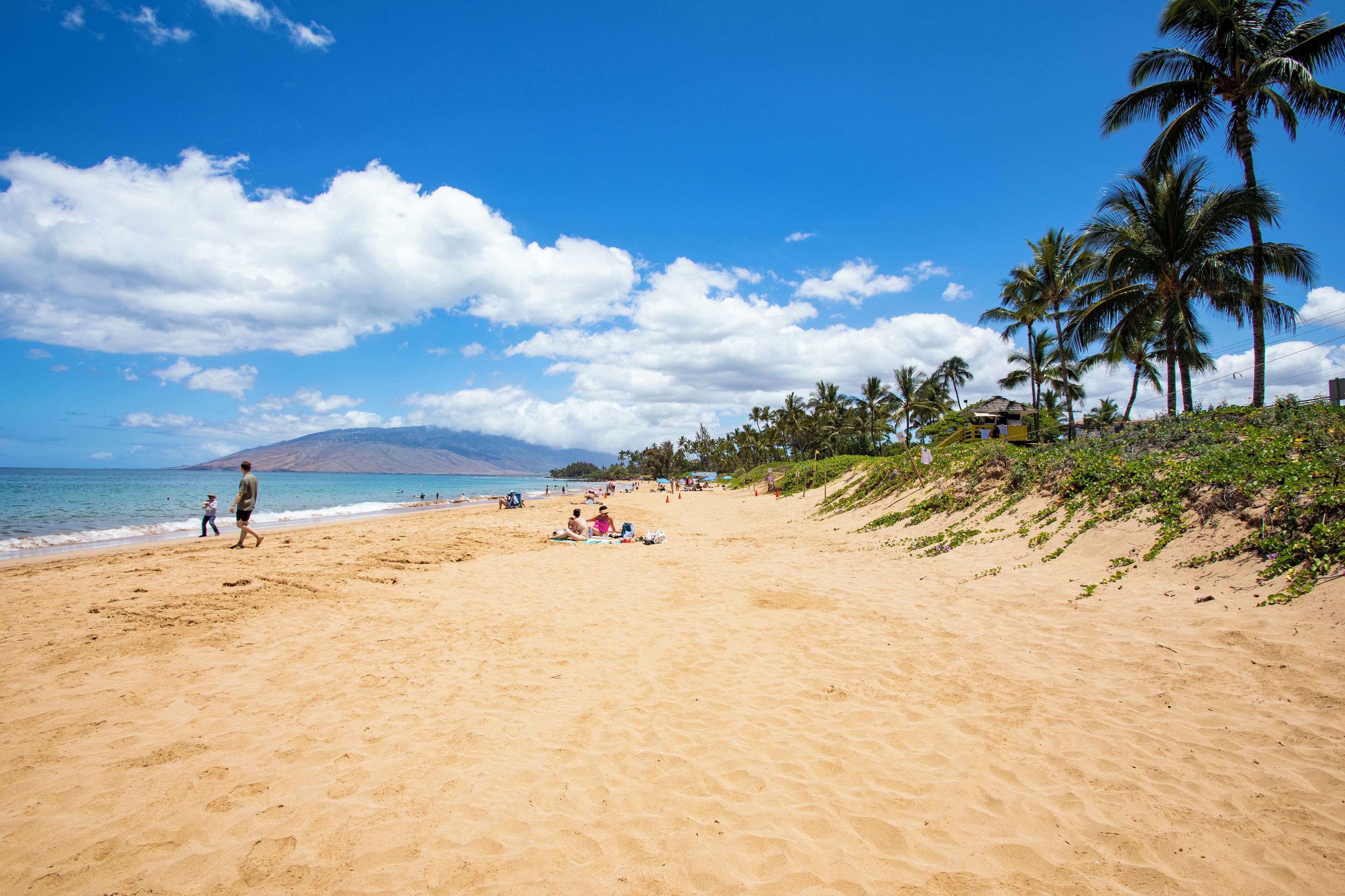 Une plage de sable bordée de palmiers, sous un ciel bleu et dégagé.