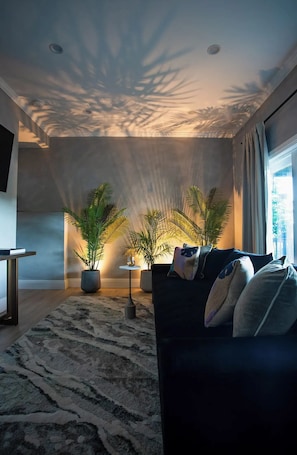 Smart TV, fireplace, books, computer monitors