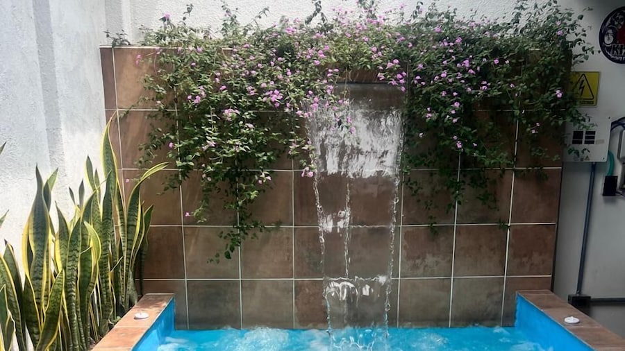 Econotel CASA VECCHIA Cali